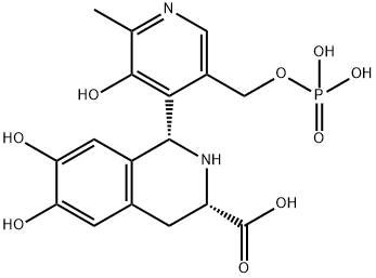 CasImg