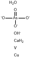 CasImg