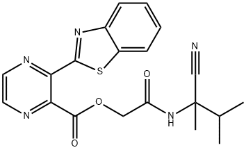 CasImg