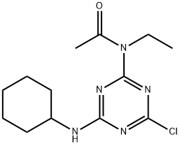 CasImg