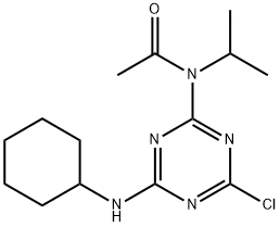 CasImg