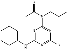 CasImg