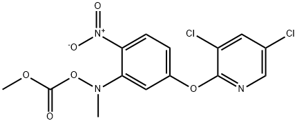 CasImg