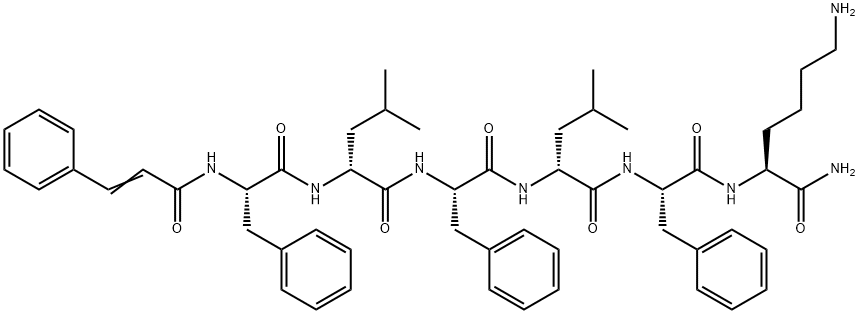 CasImg