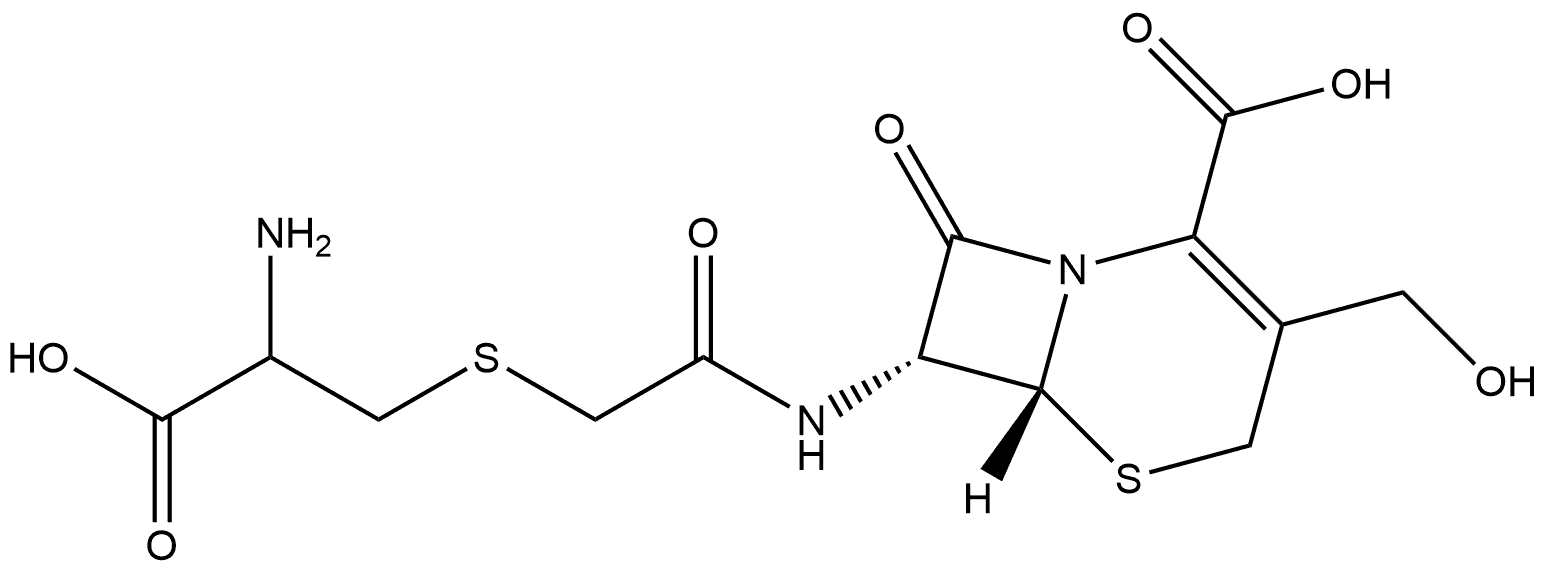 CasImg