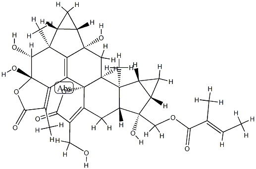 CasImg