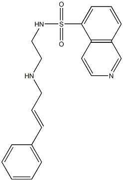 CasImg