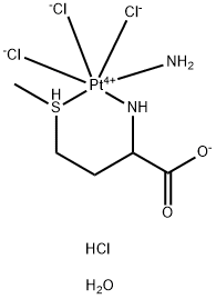 CasImg