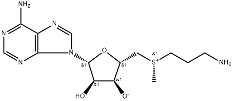 CasImg