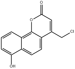 CasImg