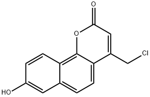 CasImg
