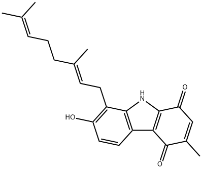 CasImg