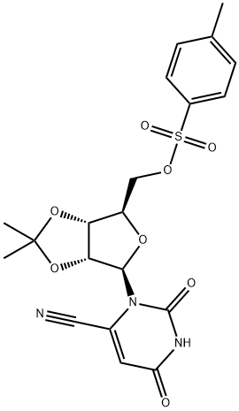 CasImg