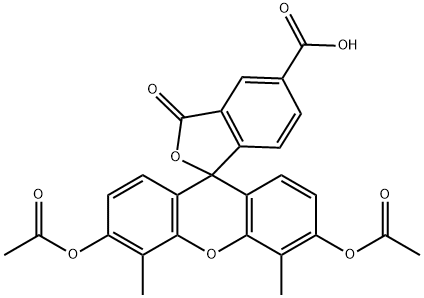 CasImg