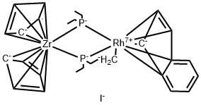 CasImg