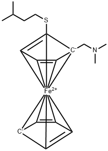 CasImg