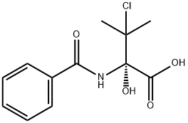 CasImg