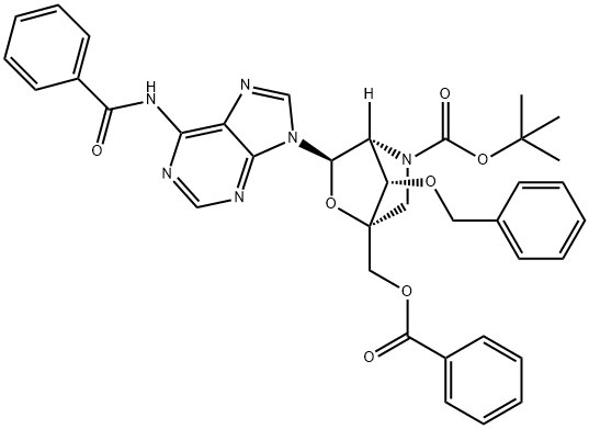 CasImg