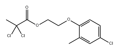 CasImg