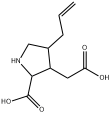 CasImg