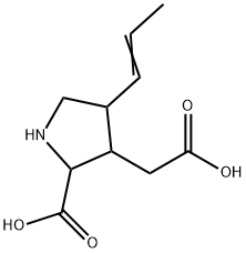 CasImg