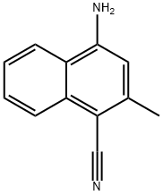 CasImg