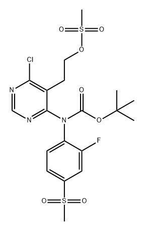 CasImg