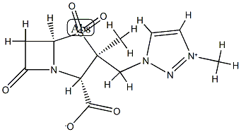 CasImg