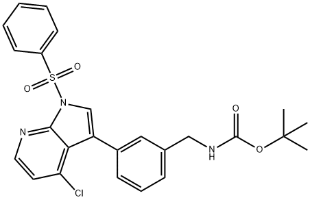 CasImg