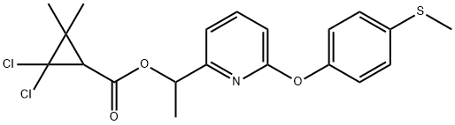 CasImg
