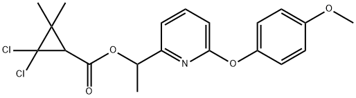 CasImg