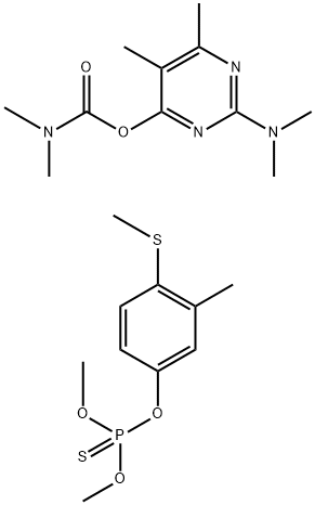 CasImg
