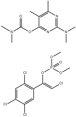 CasImg