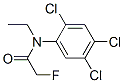 CasImg