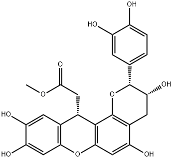CasImg