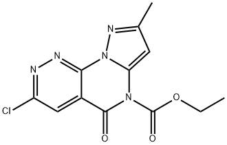 CasImg