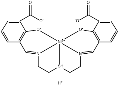 CasImg