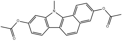 CasImg