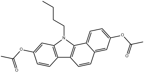 CasImg