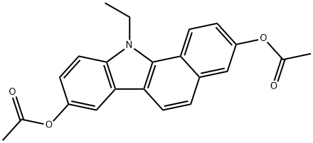 CasImg