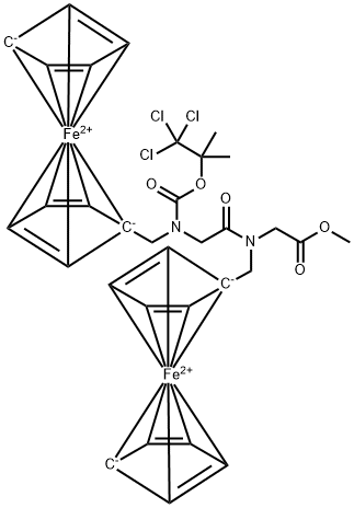 CasImg