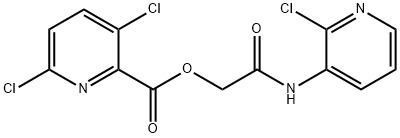 CasImg