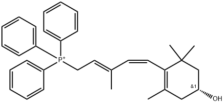 CasImg