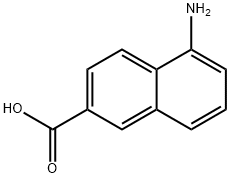 CasImg