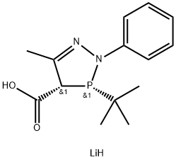 CasImg
