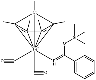 CasImg