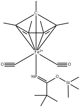 CasImg