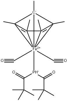 CasImg