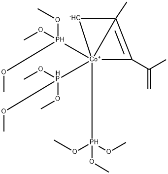 CasImg