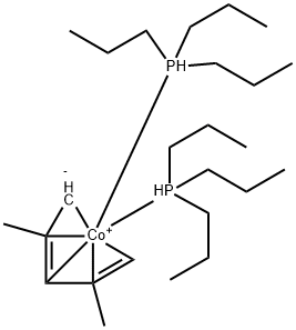 CasImg